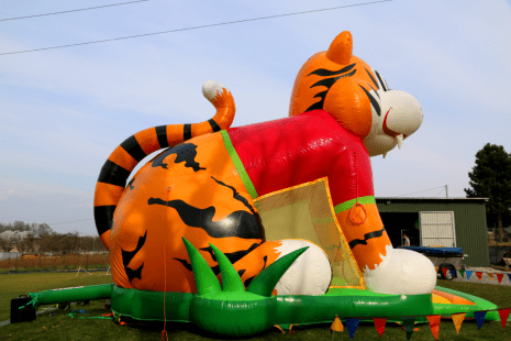 tiger